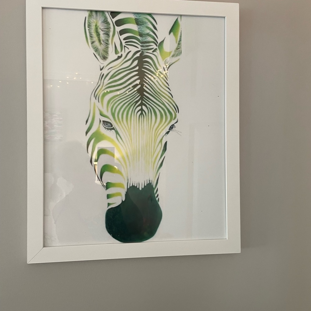 Beautiful green zebra on white frame . Green is hot new decorating color ! New